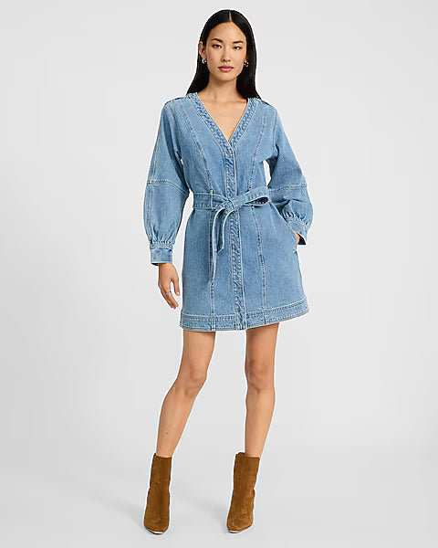 Denim V-Neck Long Sleeve Tie Waist Mini Dress
