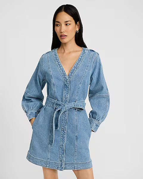 Denim V-Neck Long Sleeve Tie Waist Mini Dress